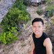 palaboy21209254477