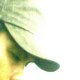 potsie078A7511D9